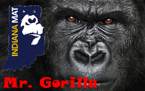 More information about "Mr. Gorilla Award Information"